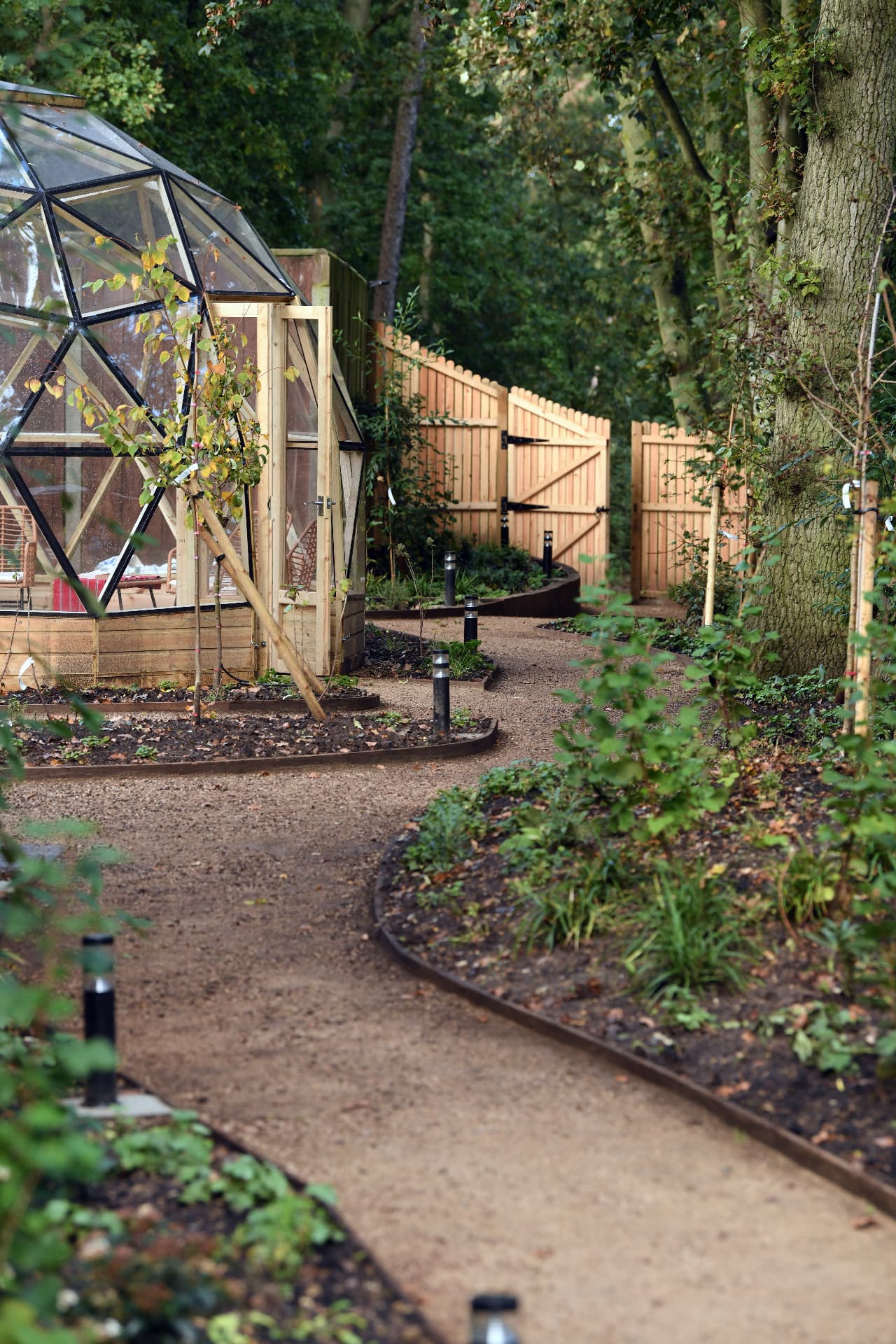 Curving woodland garden path leading towards the greenhouse and working garden