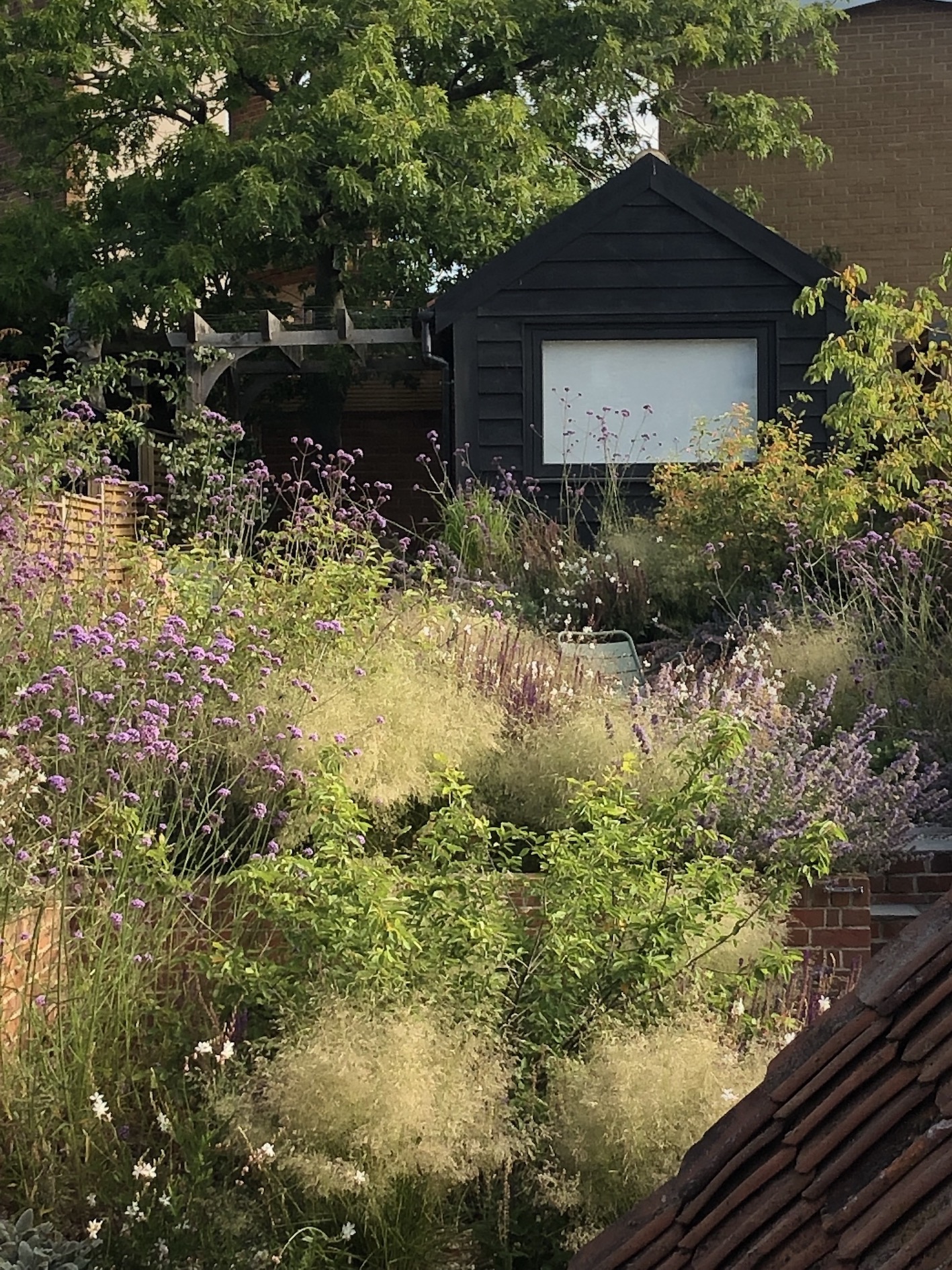 Dark garden office framed by mature trees and layered flowering planting in the Woodbridge garden