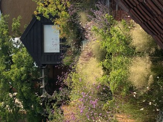 Layered grasses and flowering perennials leading toward a dark garden office in Woodbridge