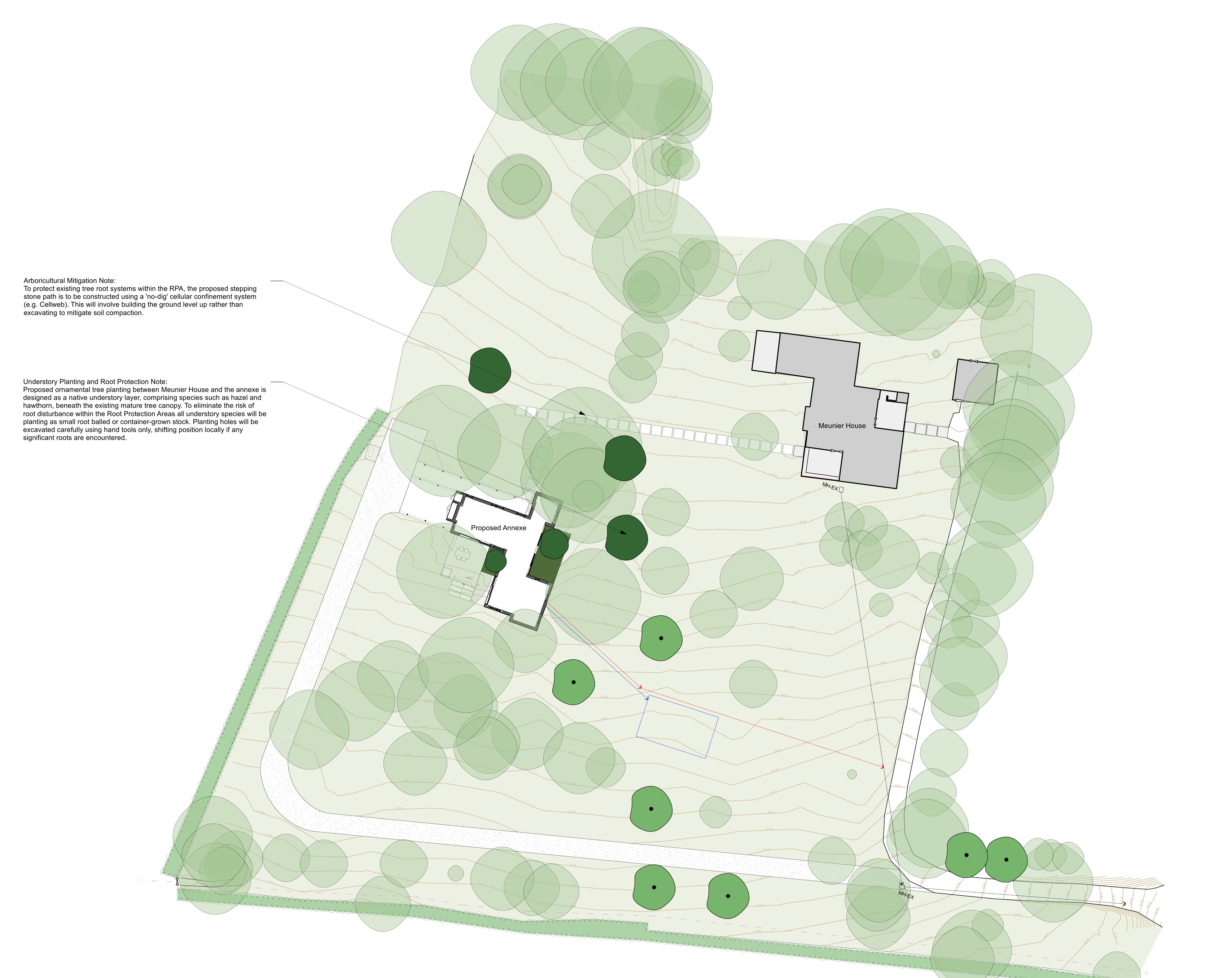 Landscape layout plan showing the house, proposed annexe, orchard, trees, drive, paths and planting