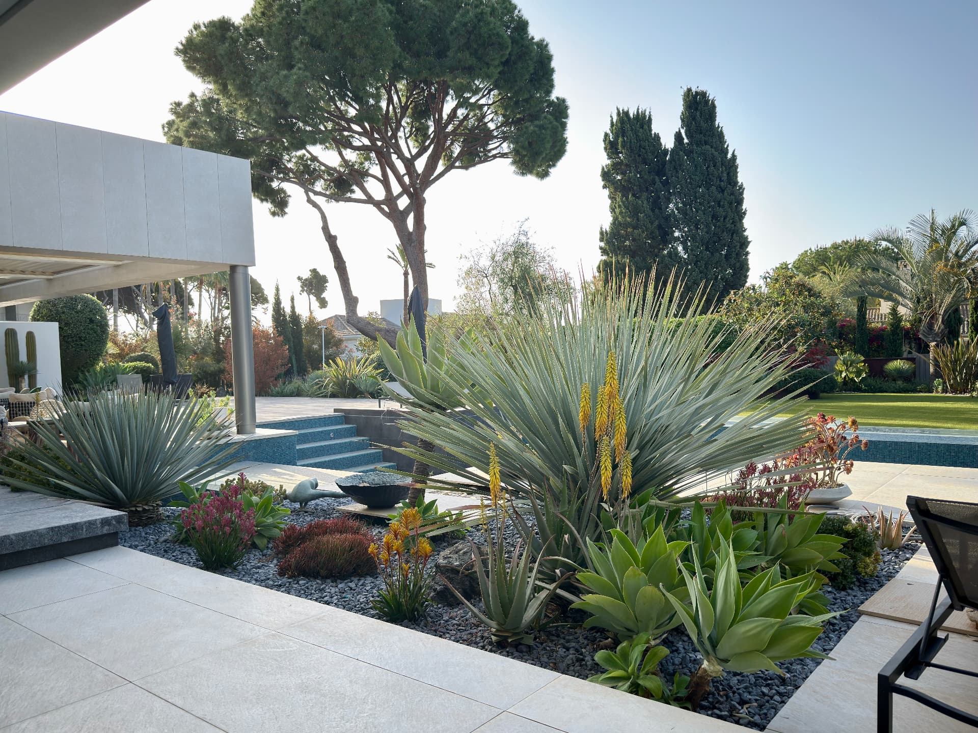 Drought-tolerant planting of agaves, yuccas and aloes in dark gravel beside pale paving and the house architecture