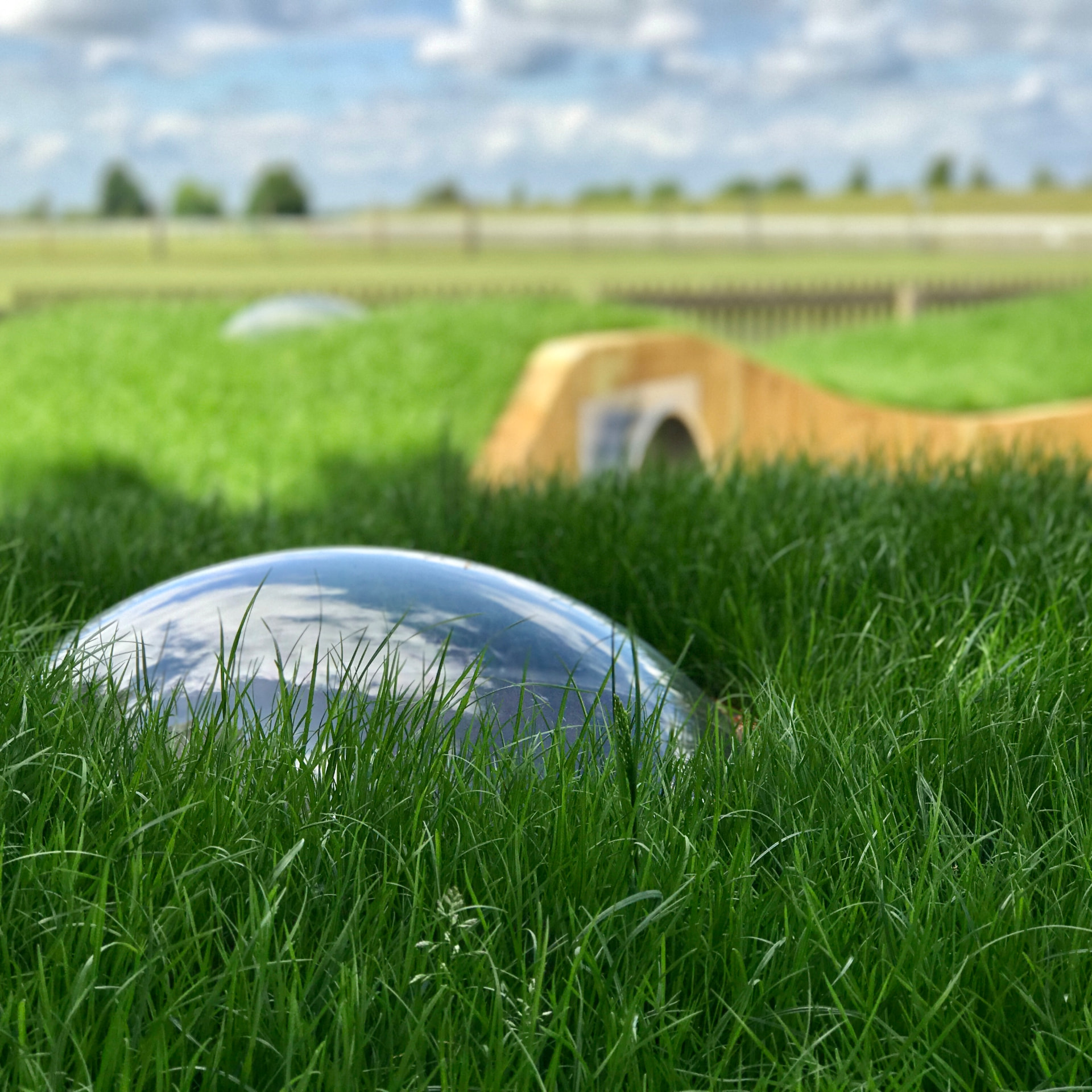 Reflective stainless-steel sphere nestled within long grass and the play landscape
