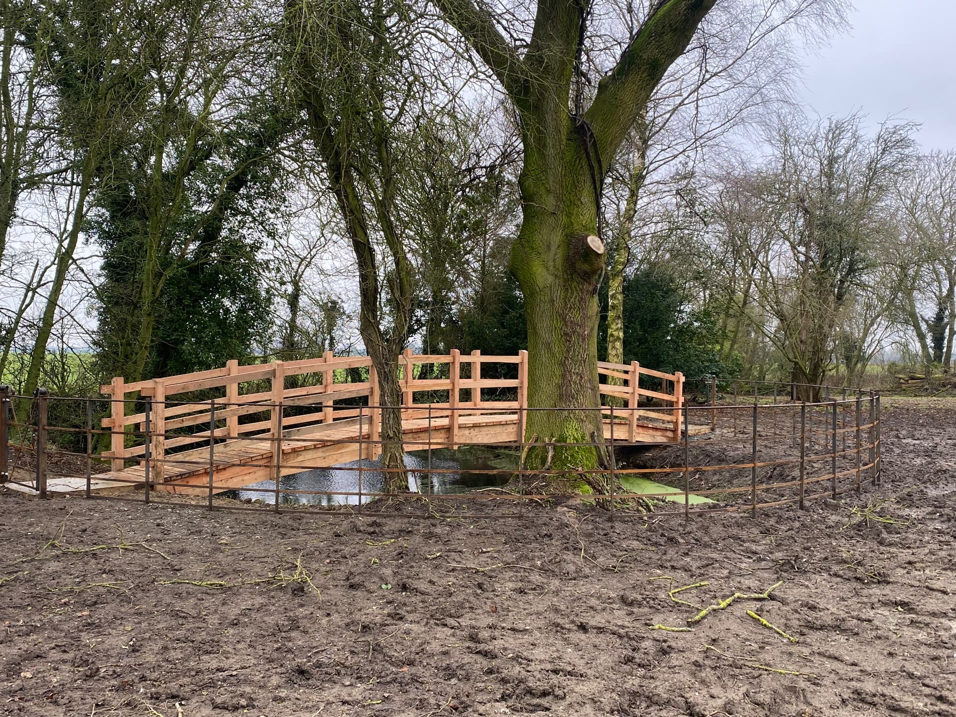 Timber bridge over an existing pond during garden implementation