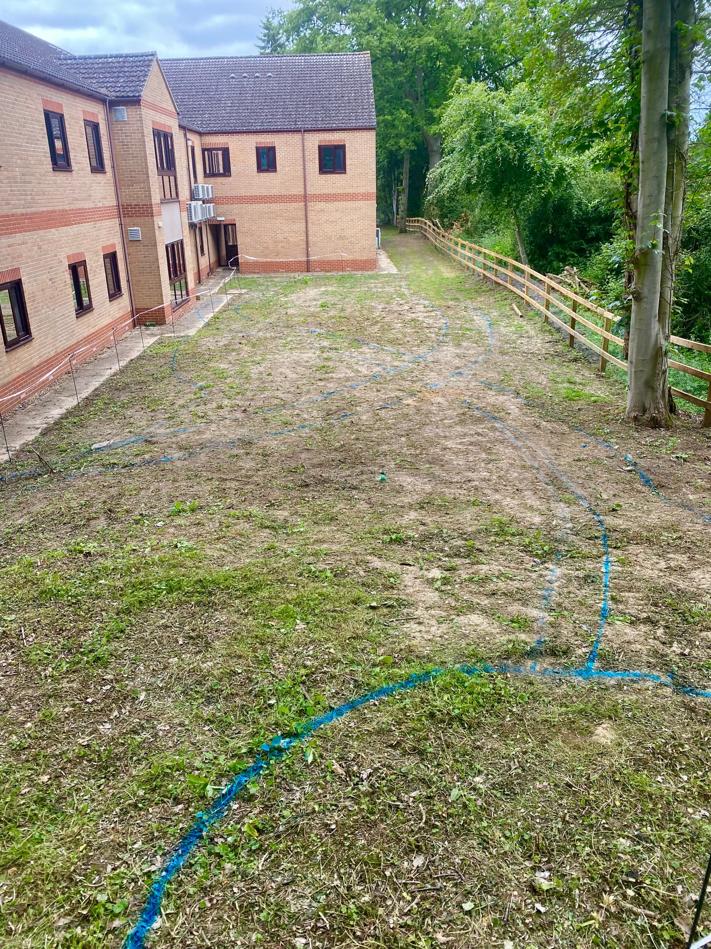 Undeveloped therapeutic garden site with blue setting-out lines beside a brick building