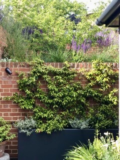 Dark bespoke planter and climbing planting against a red-brick retaining wall