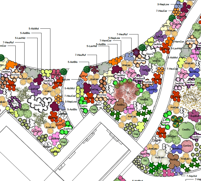 Detailed planting plan for the family garden