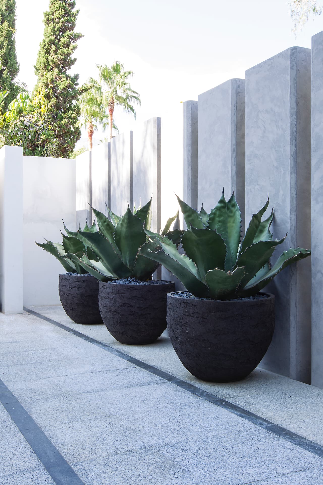 Row of dark textured pots planted with agaves against pale rendered and concrete vertical wall elements