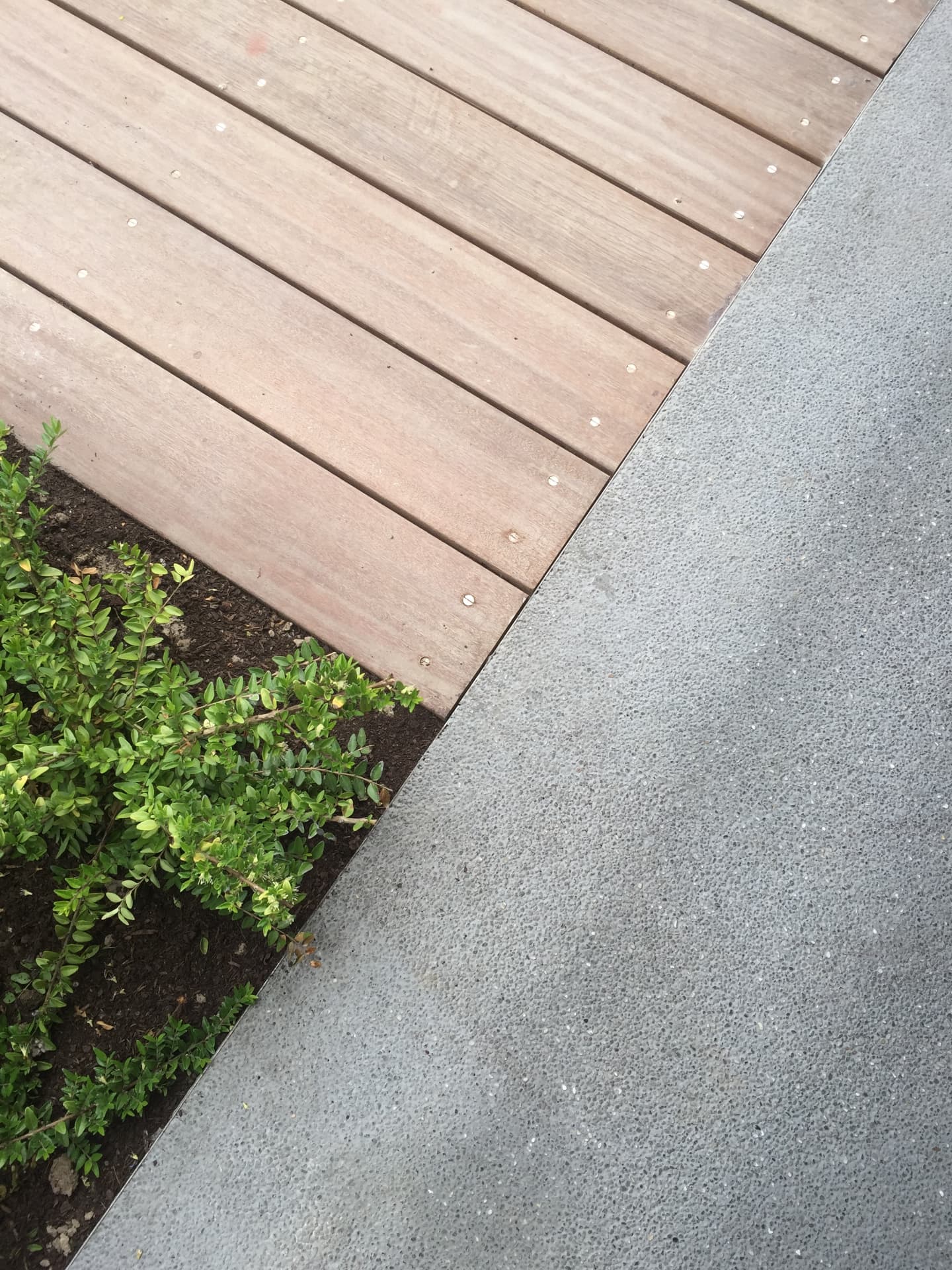 Detail of hardwood decking meeting a polished concrete edge