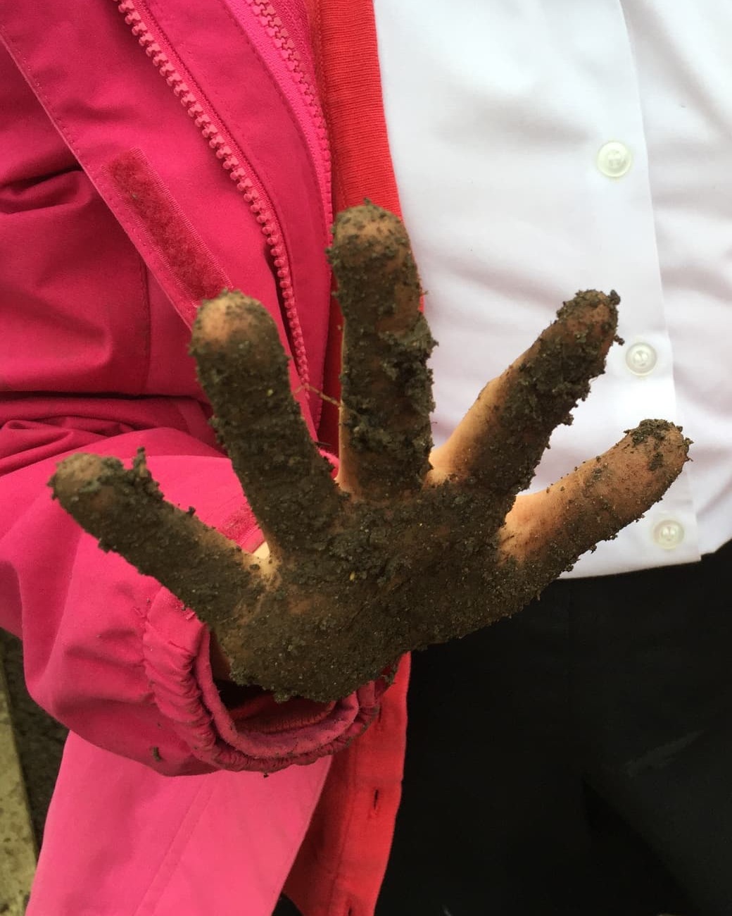 A child's mud-covered hands held up after planting