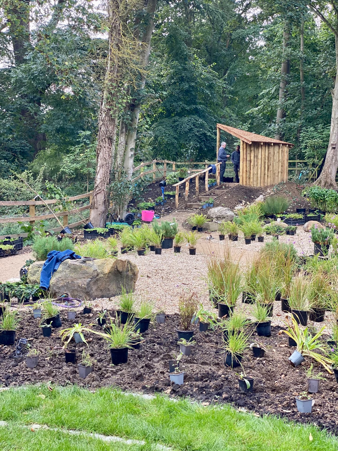 Workers installing plants across a therapeutic garden with paths, beds and a timber shelter