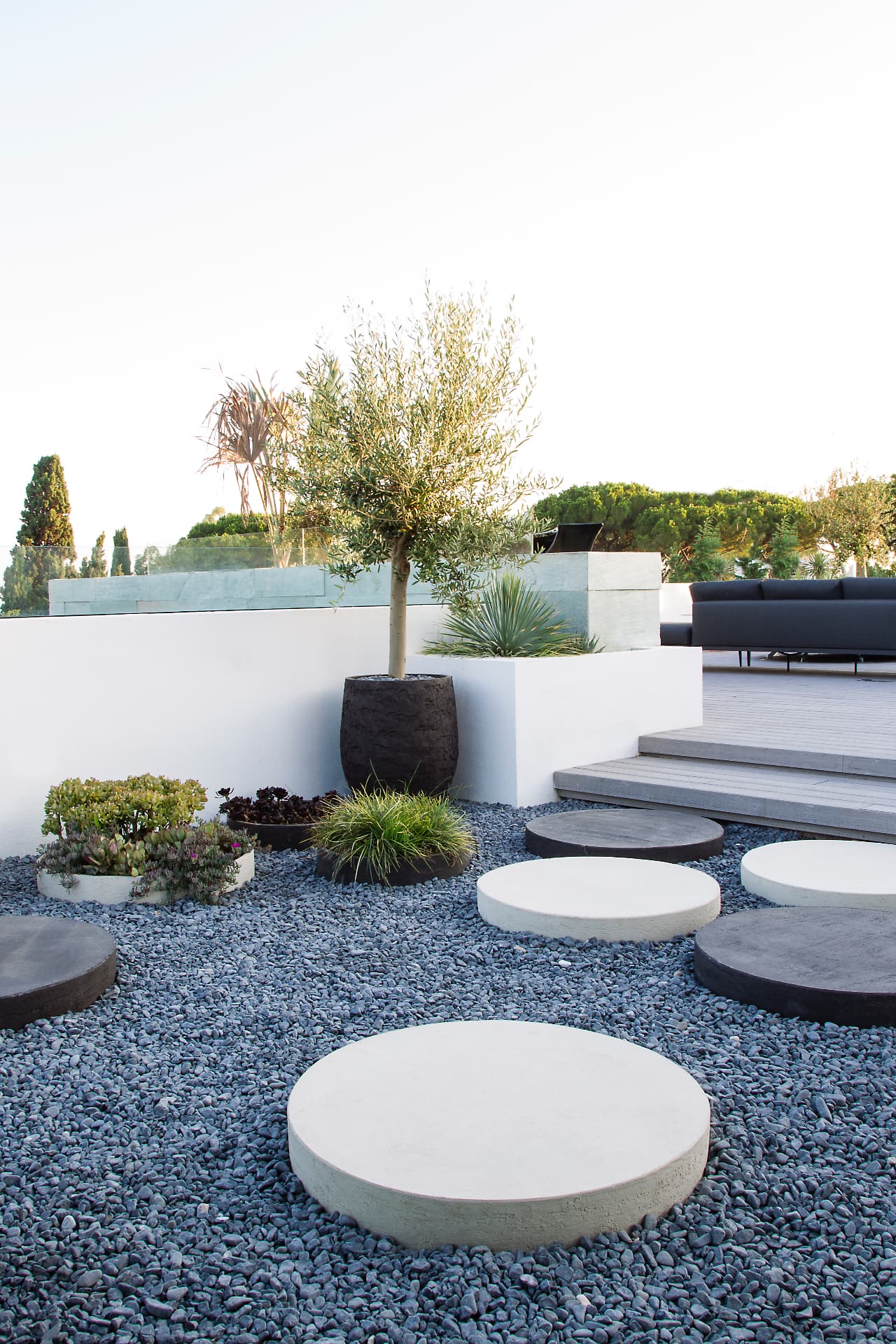 Circular pale stepping stones in dark gravel with white rendered walls, olive tree in a dark planter and succulent planting
