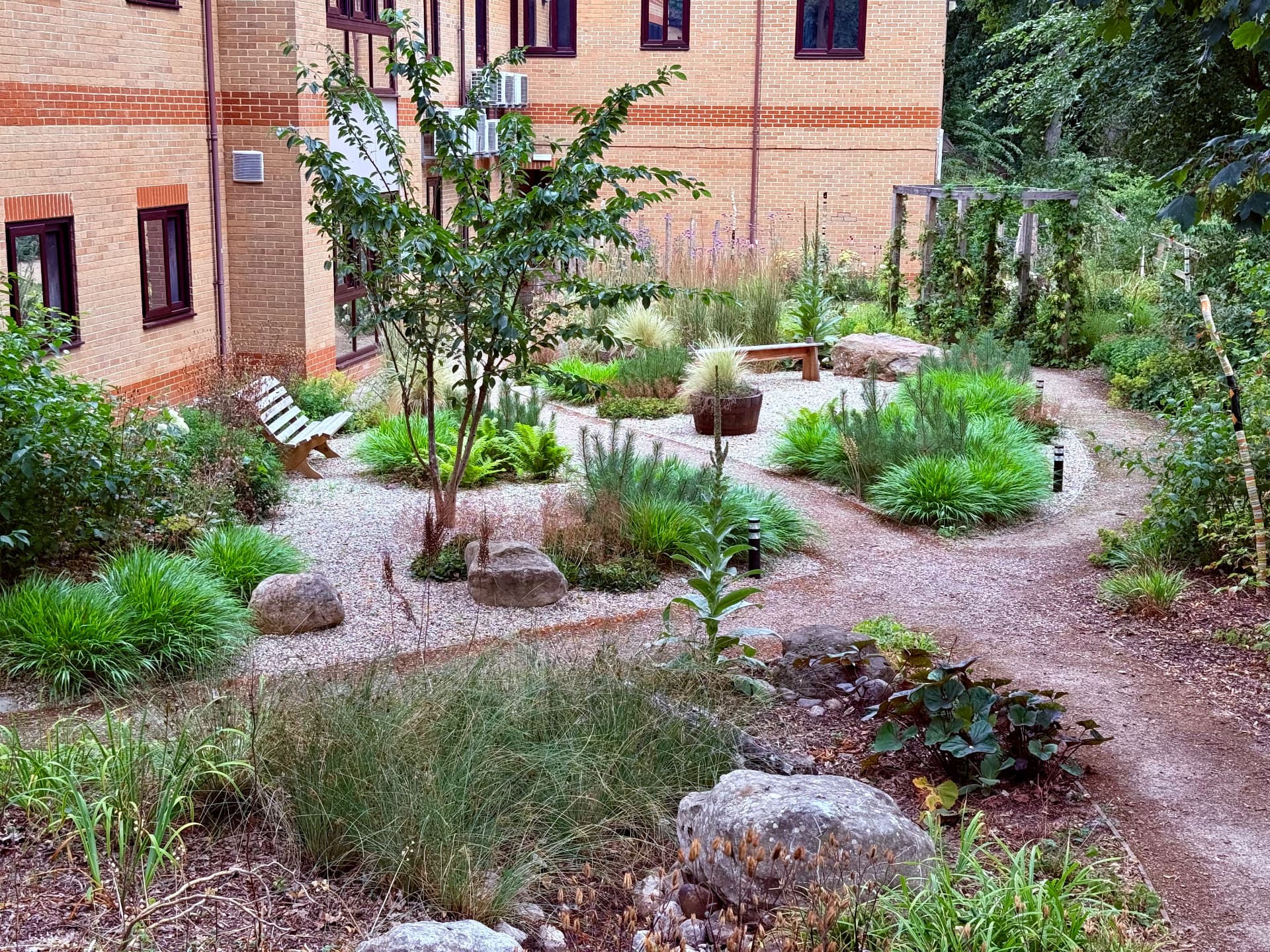 Established therapeutic courtyard garden with gravel paths, boulders, grasses and a multi-stem tree
