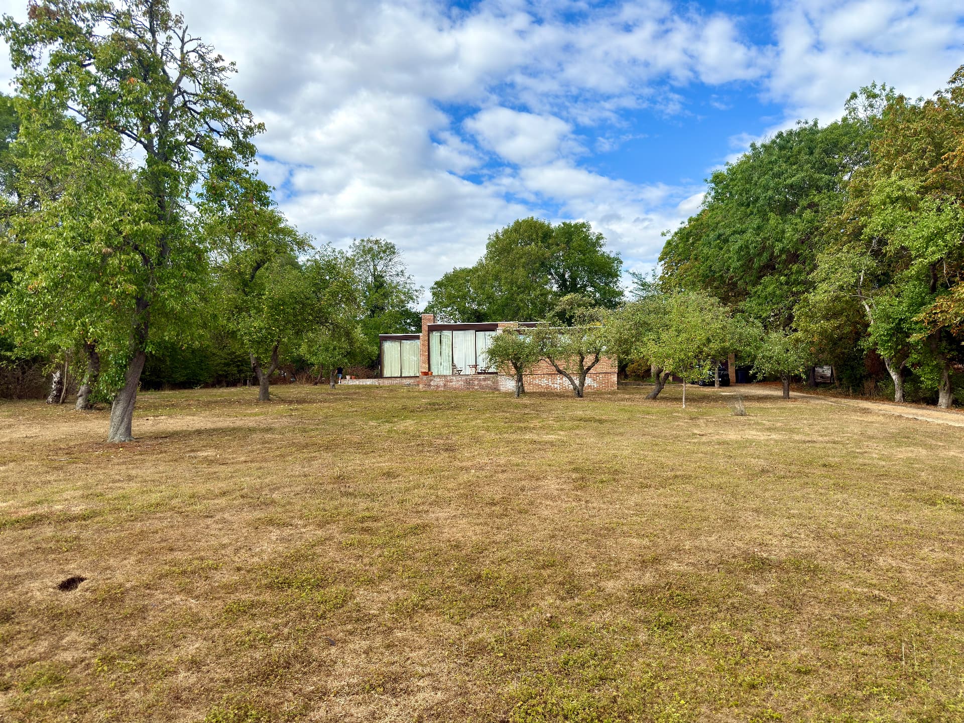 Summer view across the orchard towards the house beneath mature trees