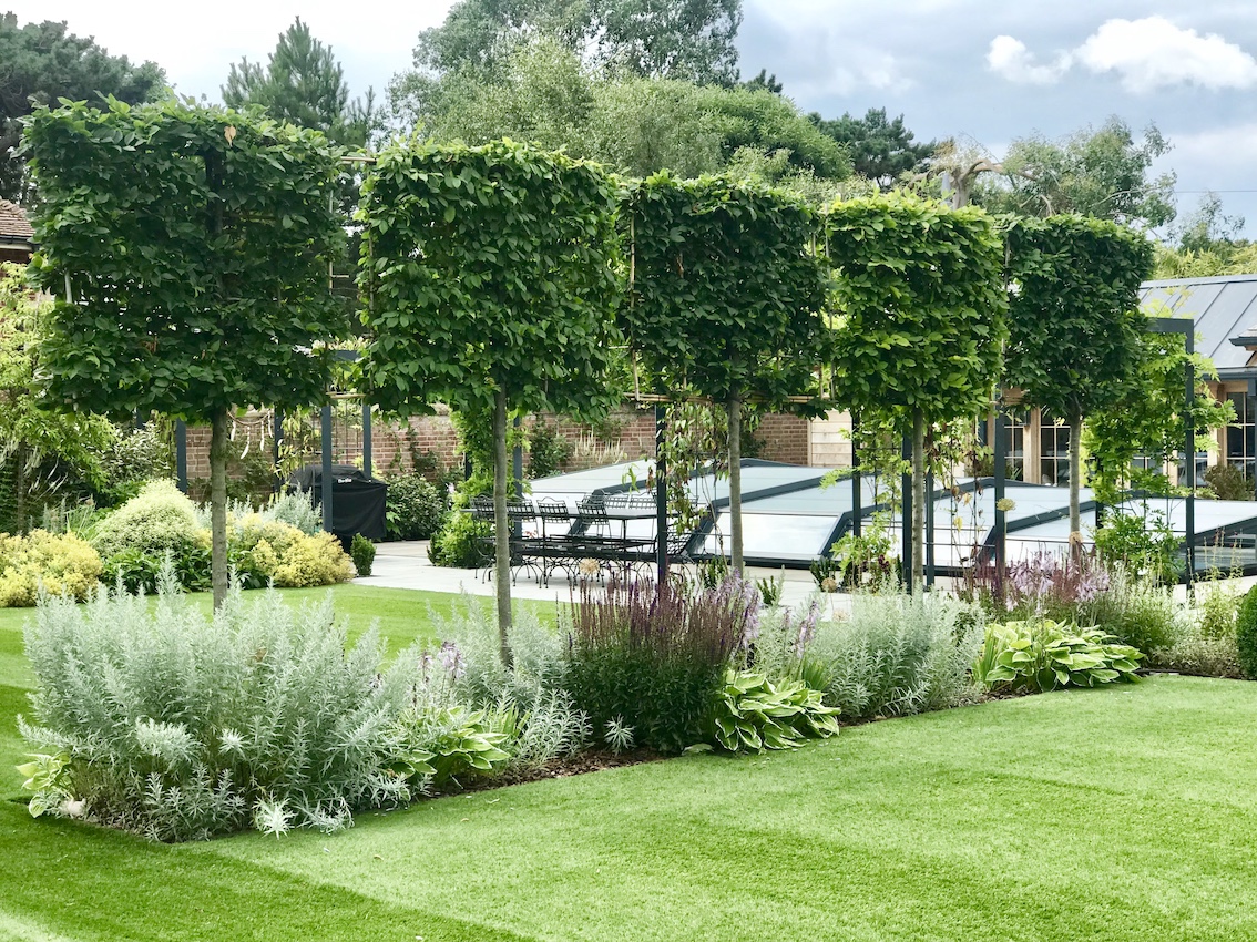 Lawn, pleached trees, dark pergola and structured planting in an Aldeburgh garden